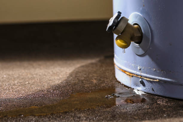 Best Mold removal after water damage  in Woodworth, OH