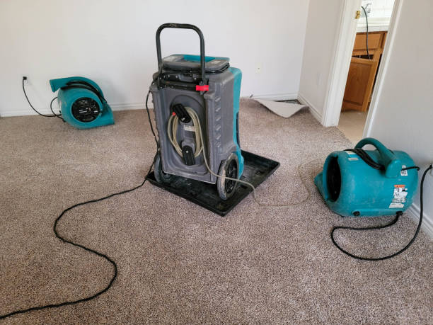 Best Water damage restoration near me  in Woodworth, OH