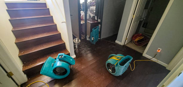 Best Water damage restoration services  in Woodworth, OH
