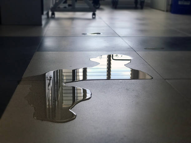 Best 24-hour water damage restoration  in Woodworth, OH