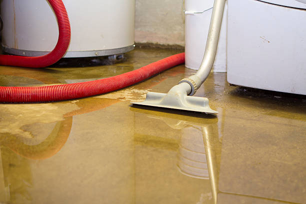 Best Flood damage cleanup  in Woodworth, OH