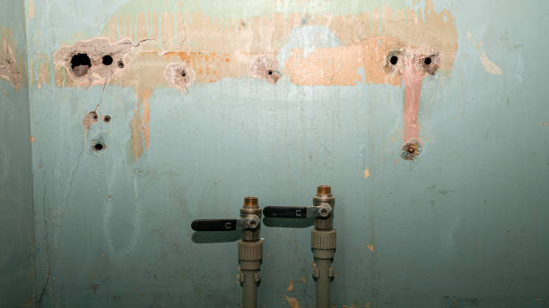 Best Emergency water extraction  in Woodworth, OH