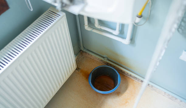 Best Water damage mitigation services  in Woodworth, OH