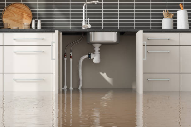 Best Basement water damage restoration  in Woodworth, OH