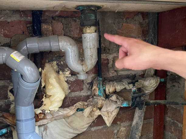 Best Water damage cleanup near me  in Woodworth, OH