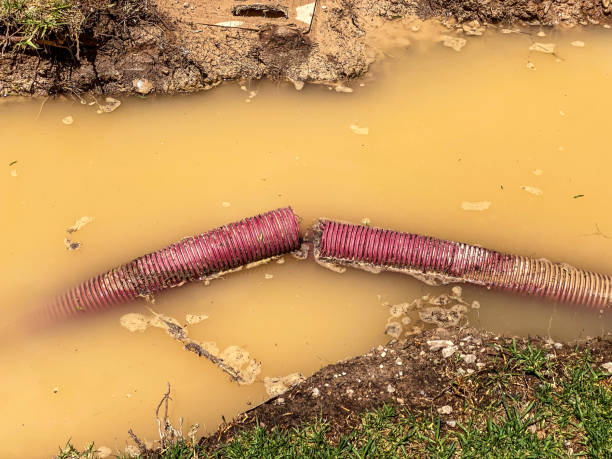 Best Professional water damage repair  in Woodworth, OH