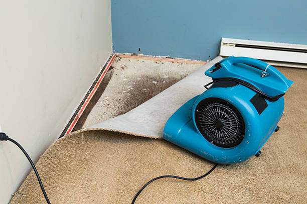 Water damage restoration mold remediation in Woodworth, OH